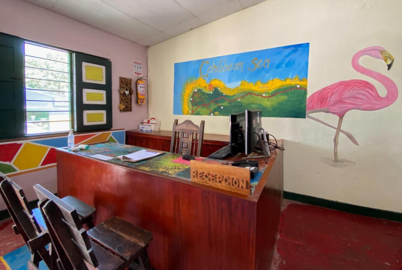 טגאנגה Hostel Villa Mary מראה חיצוני תמונה